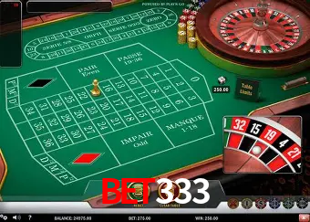 Descubra o Mundo do Cassino Online com bet333